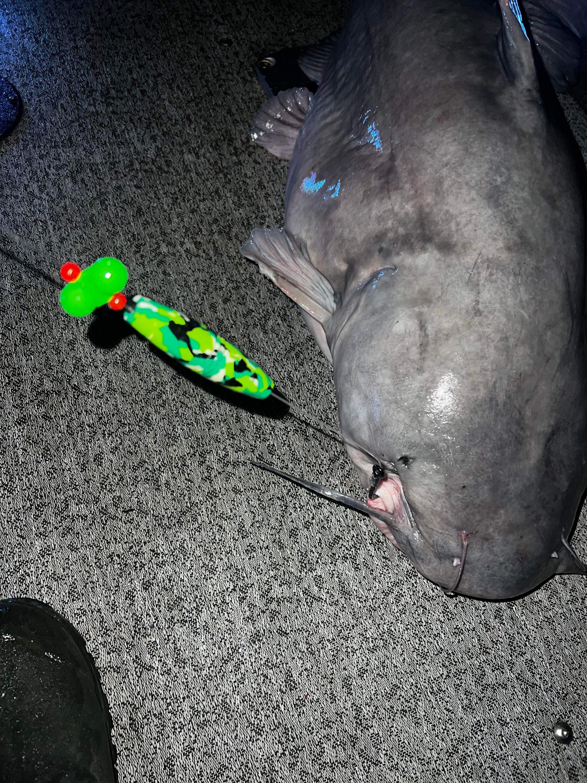 EVA Peg Float 3” – Ironside Catfishing