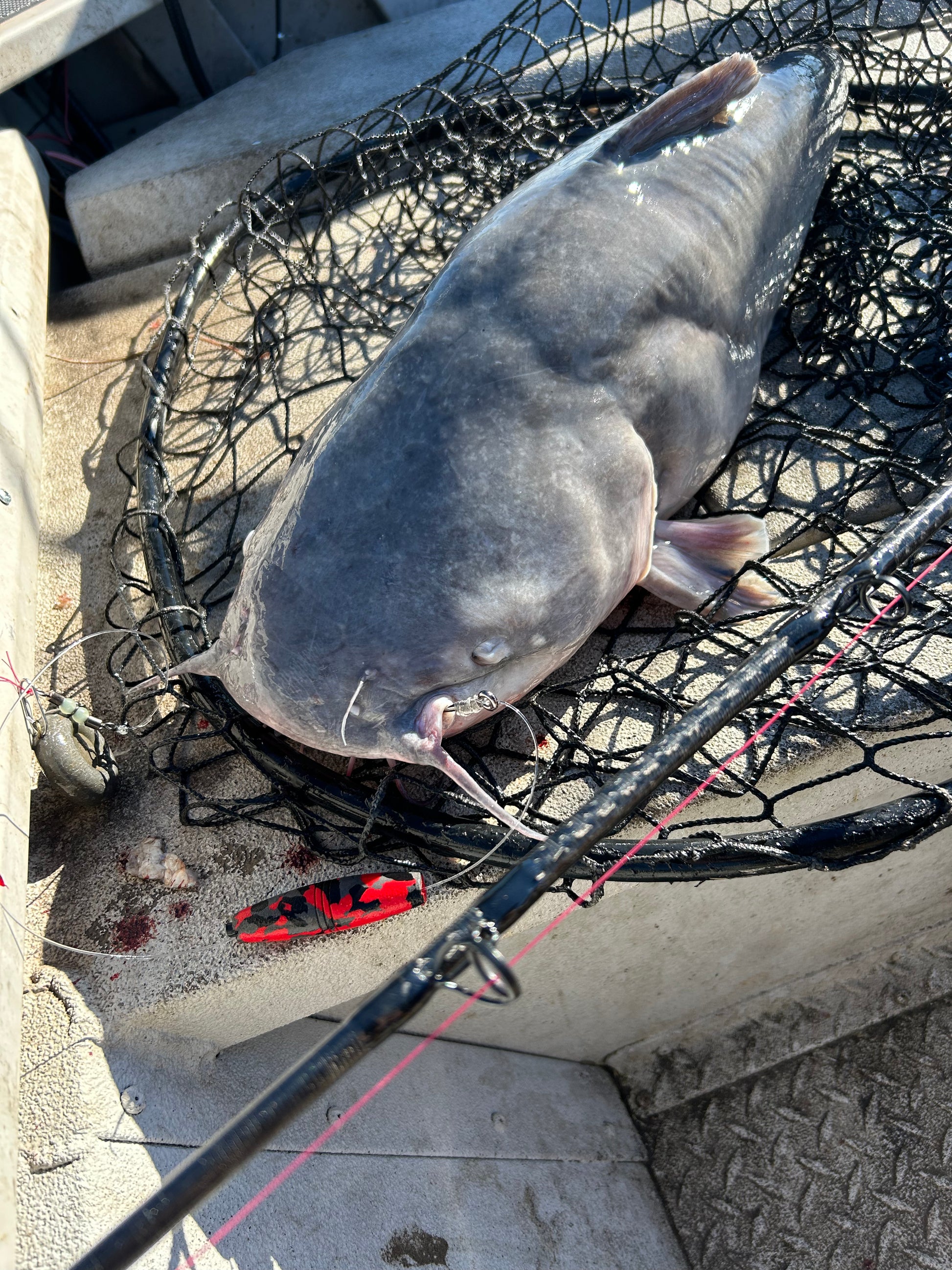 EVA Peg Float 3” – Ironside Catfishing